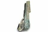 Blue-Green Elbaite Tourmaline Crystal - Leduc Mine, Quebec #244924-1
